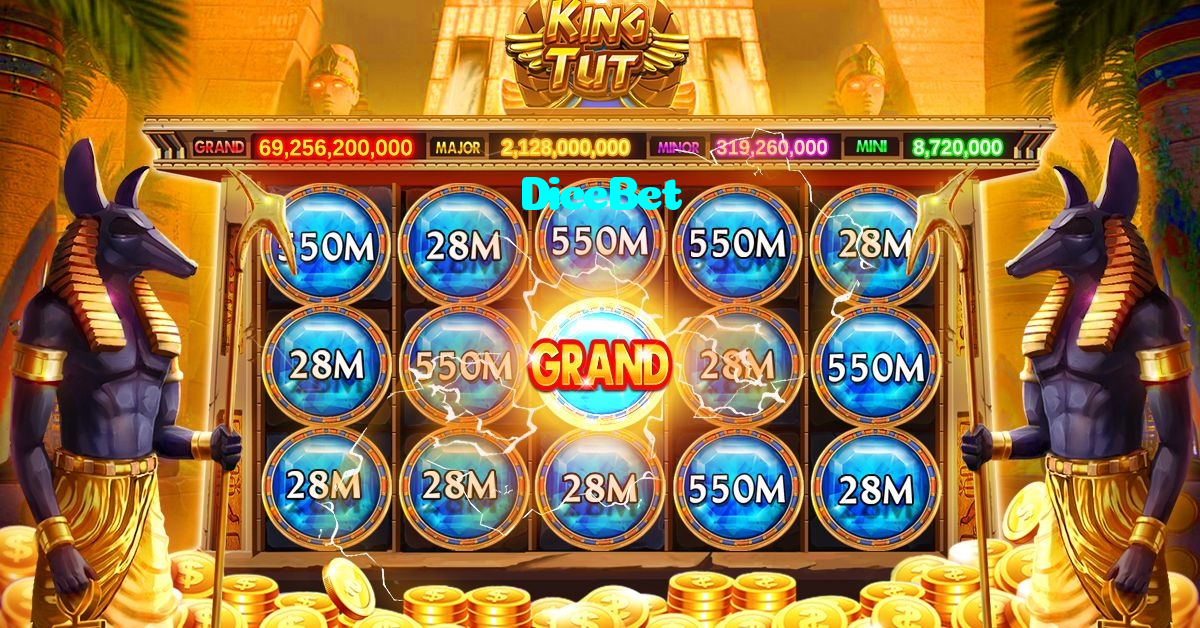 available types of DiceBet bet including pre-match live express and system bets